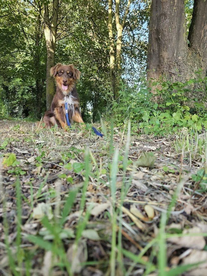 Balade forêt