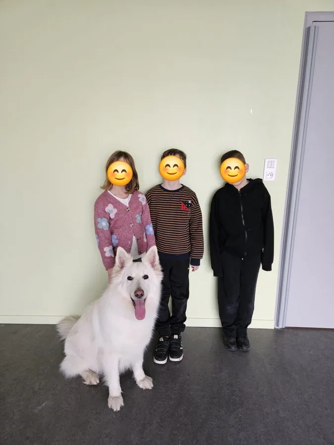 Enfants chien